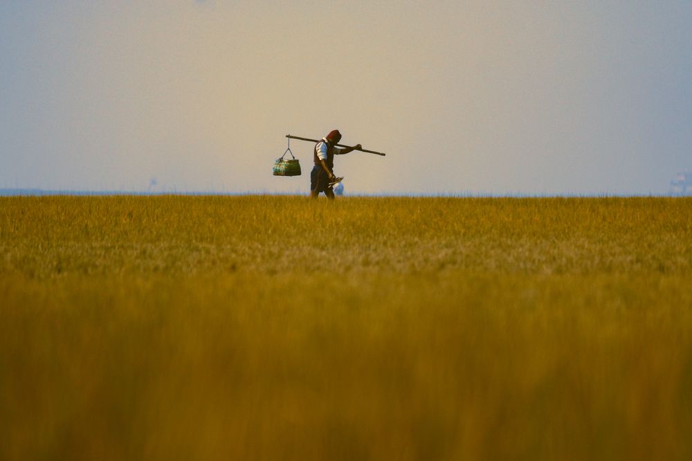 Photograph by Md.Emam Hosen Emon