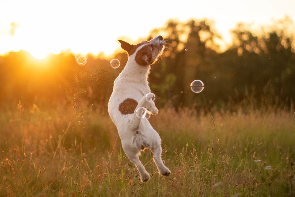 Photograph by Александра Лисова