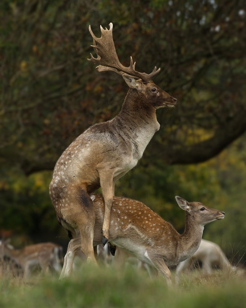 Фотография автора Kowalski Jaroslaw
