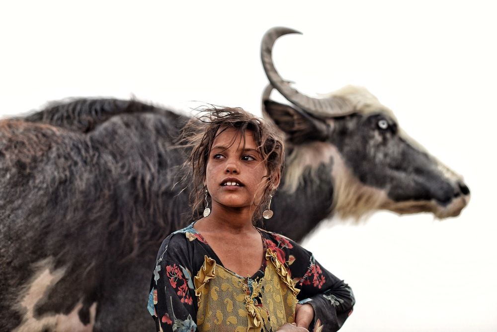 Photograph by Ali Alwaely