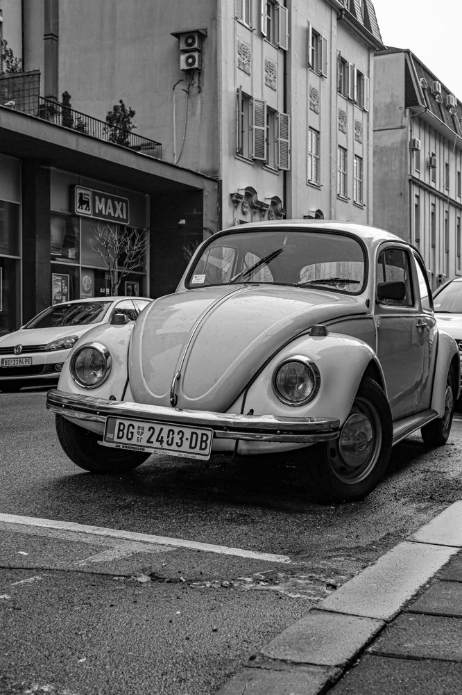 Photograph by Dmitriy Dinchyan