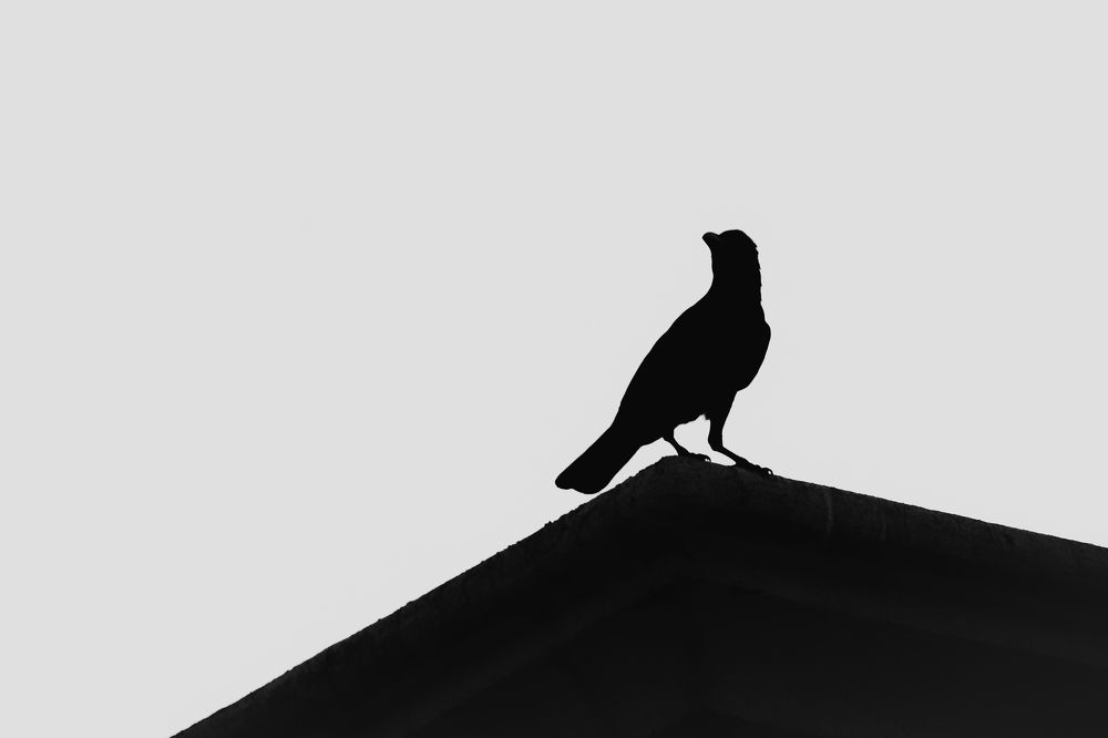 Photograph by Gulam Mohiuddin Chandiwala