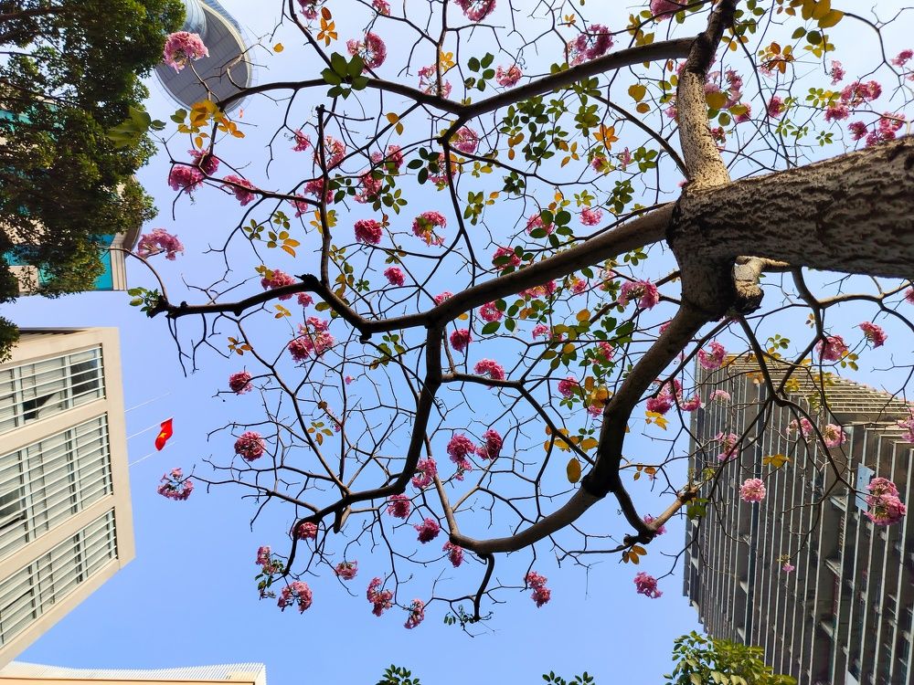 Photograph by Múp Phượt