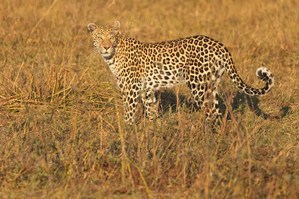 Photograph by Игорь Щербаков