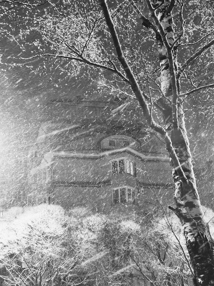 Метель в городе