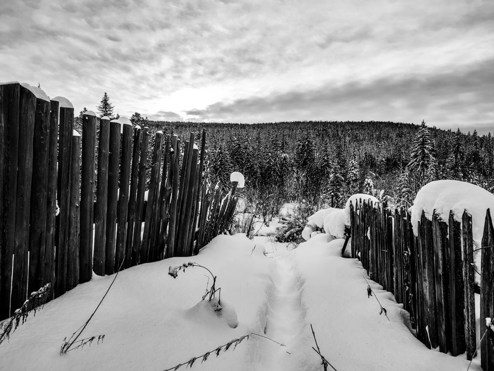 Photograph by Elena Kilina