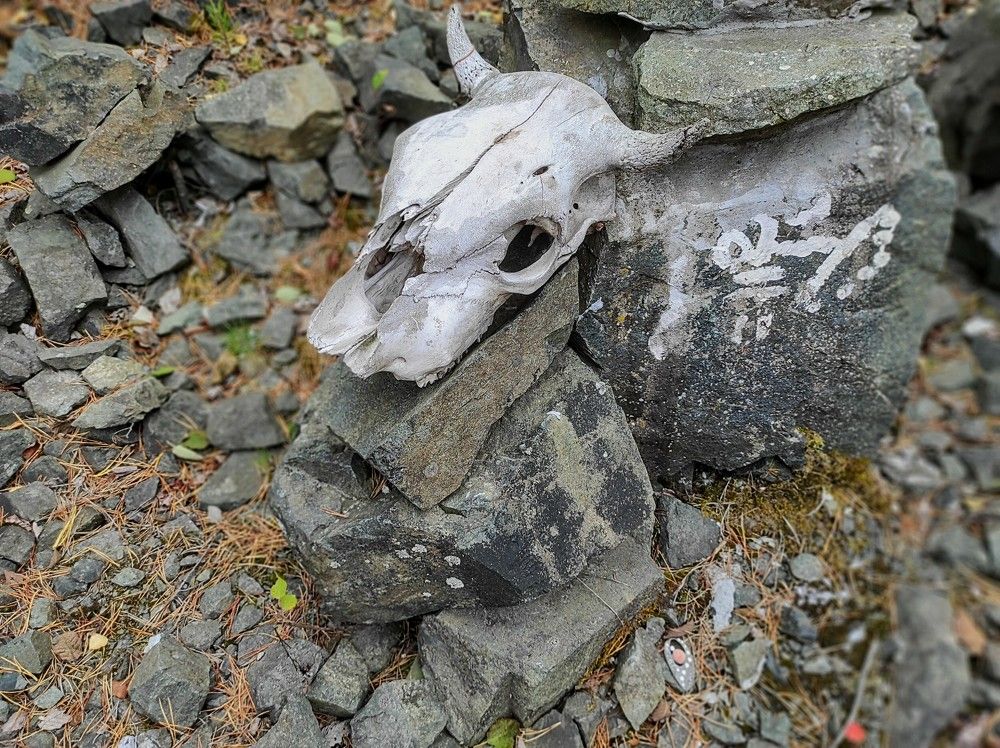 Photograph by Ирина Саттарова