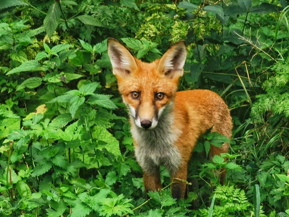 Photograph by Александр Козленков