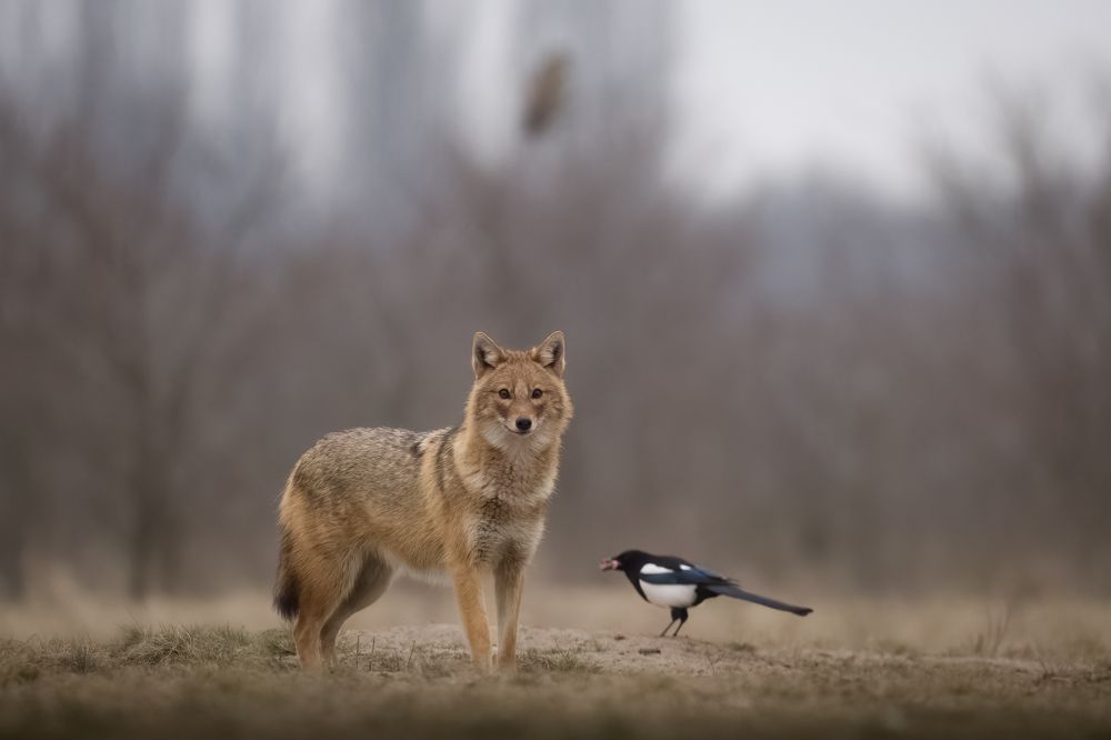 Photograph by Dejan Zakic