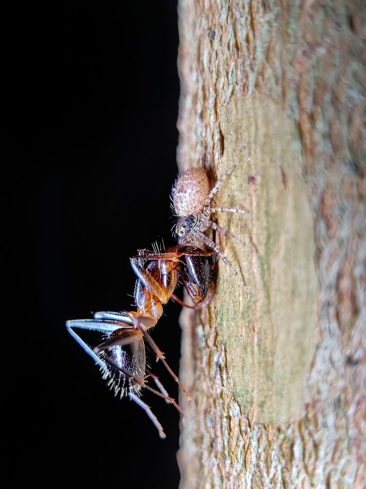 Photograph by Sampad das