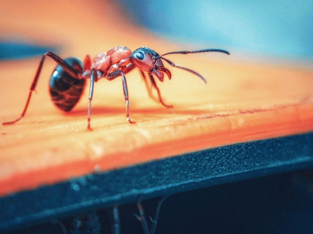 Photograph by Алексей