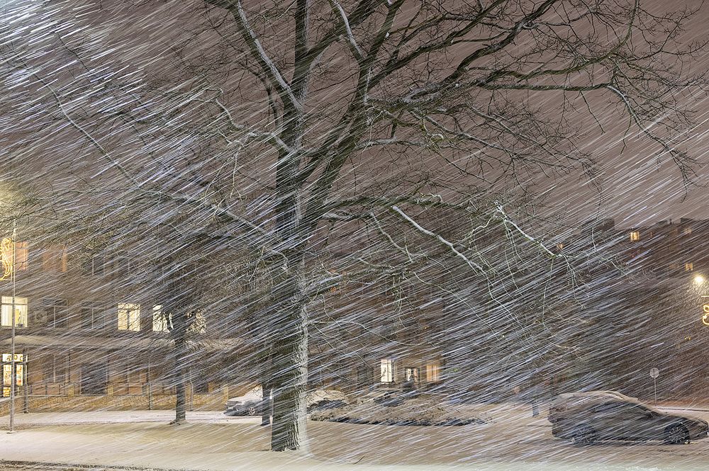 Photograph by Intars Supins