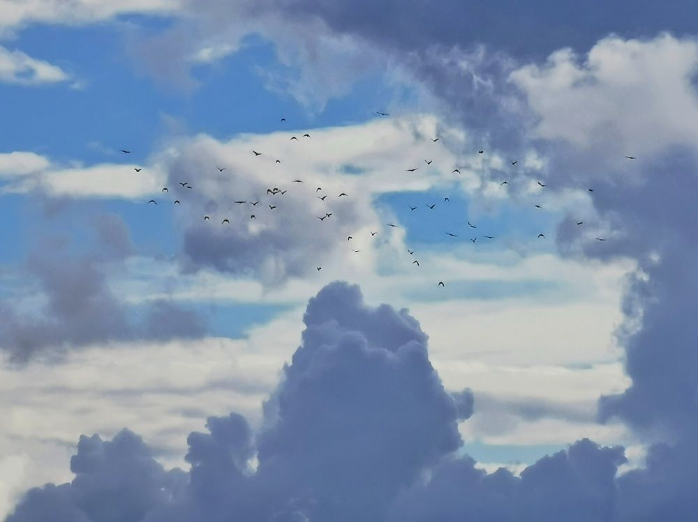 Photograph by Александр Козленков