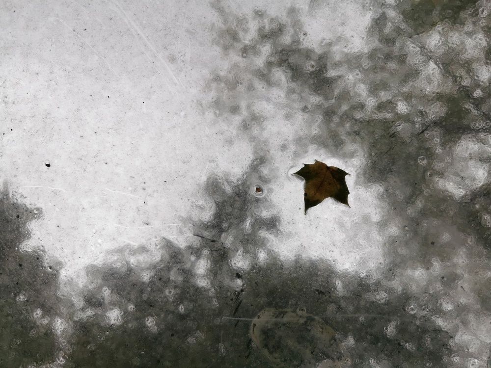 Photograph by Александр Козленков