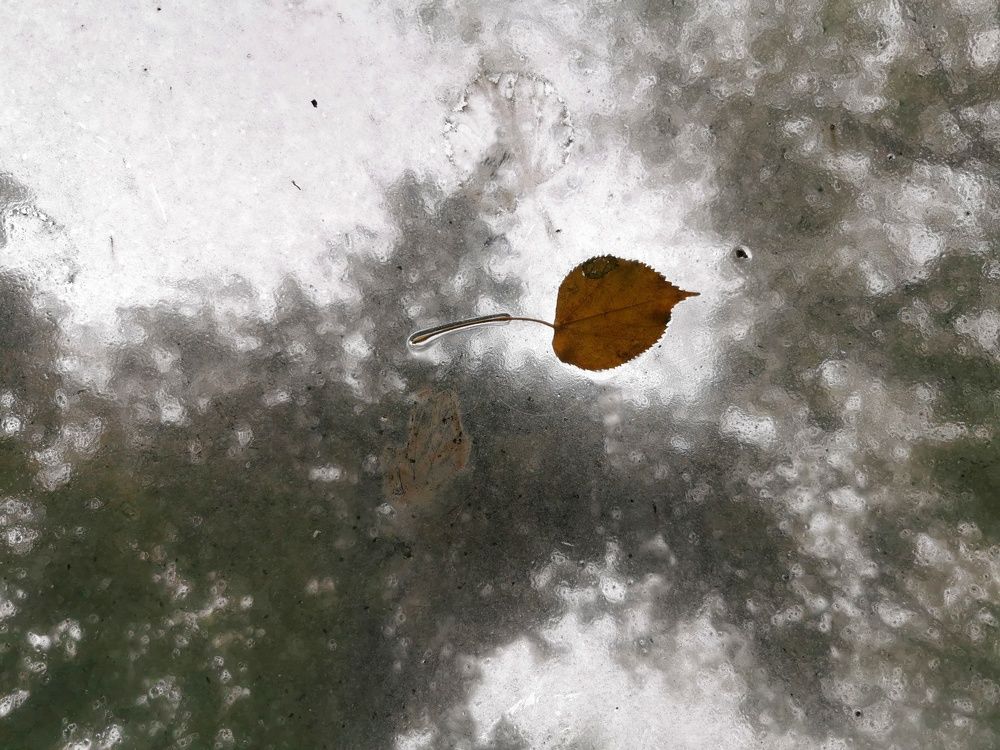 Photograph by Александр Козленков