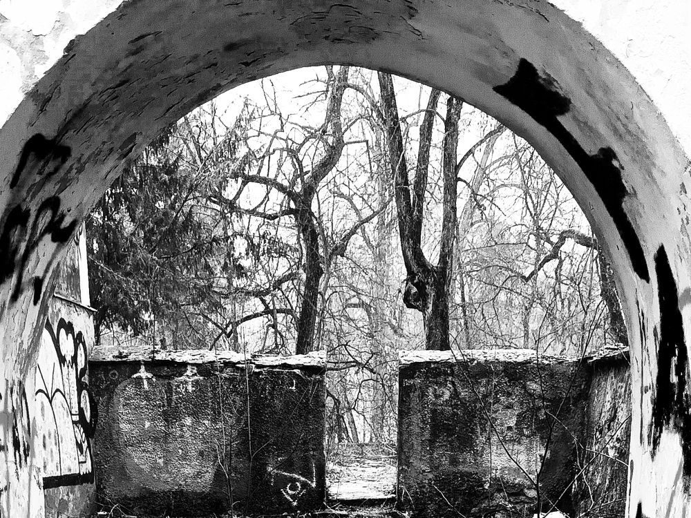 Photograph by Igor Glazistov