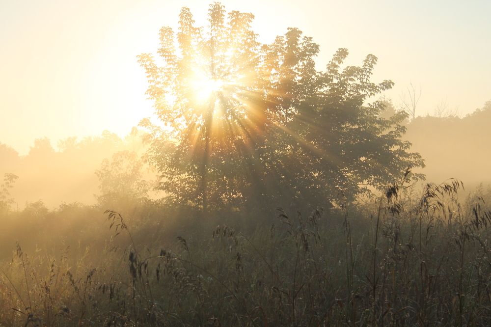 Photograph by Матвей Короткин