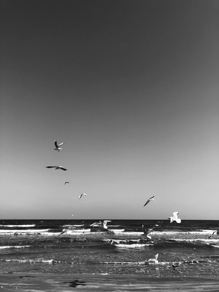 Photograph by Olesia Bulich