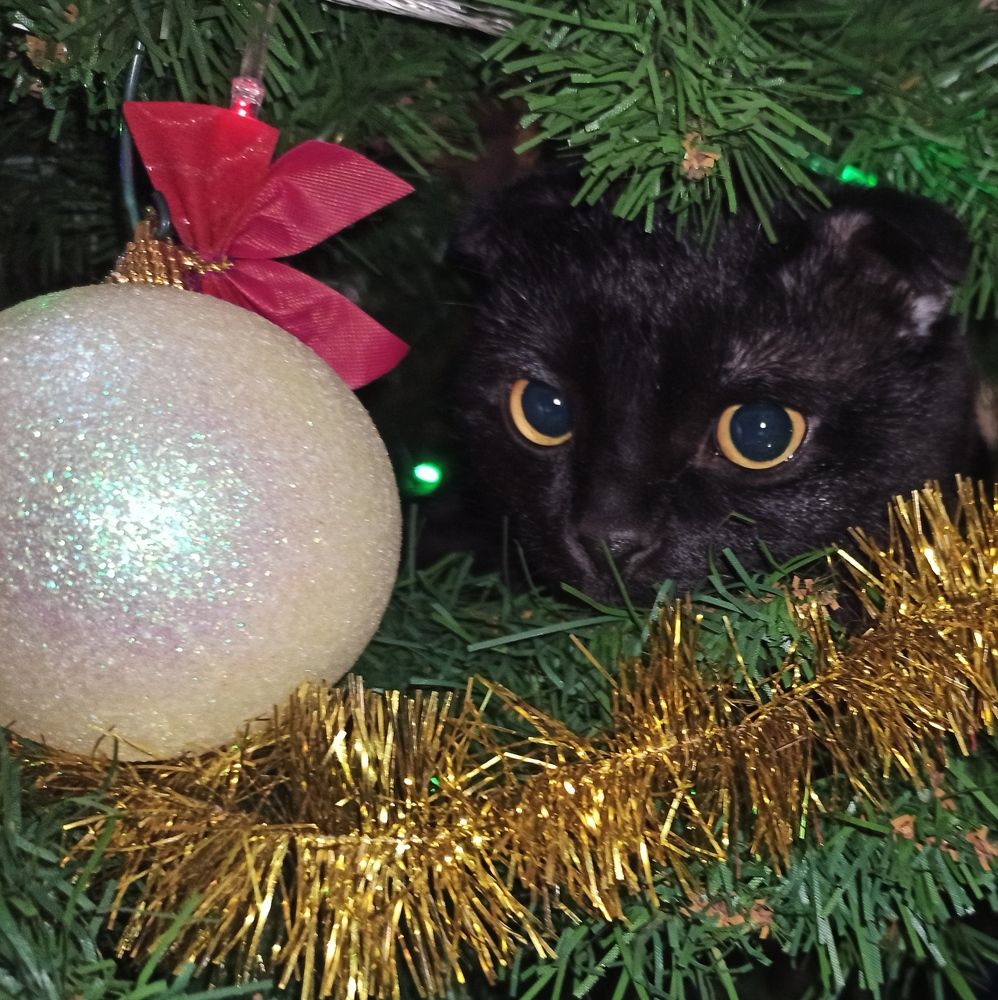 Photograph by Мария Тюленева