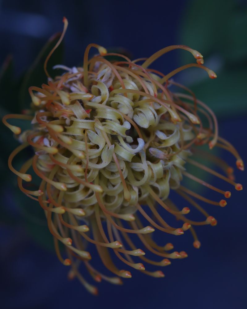 Photograph by Ирина Серегина