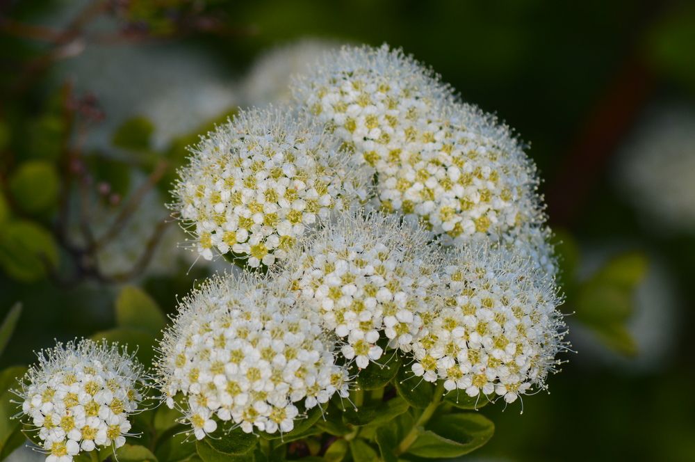 Photograph by Маргарита Бондаренко