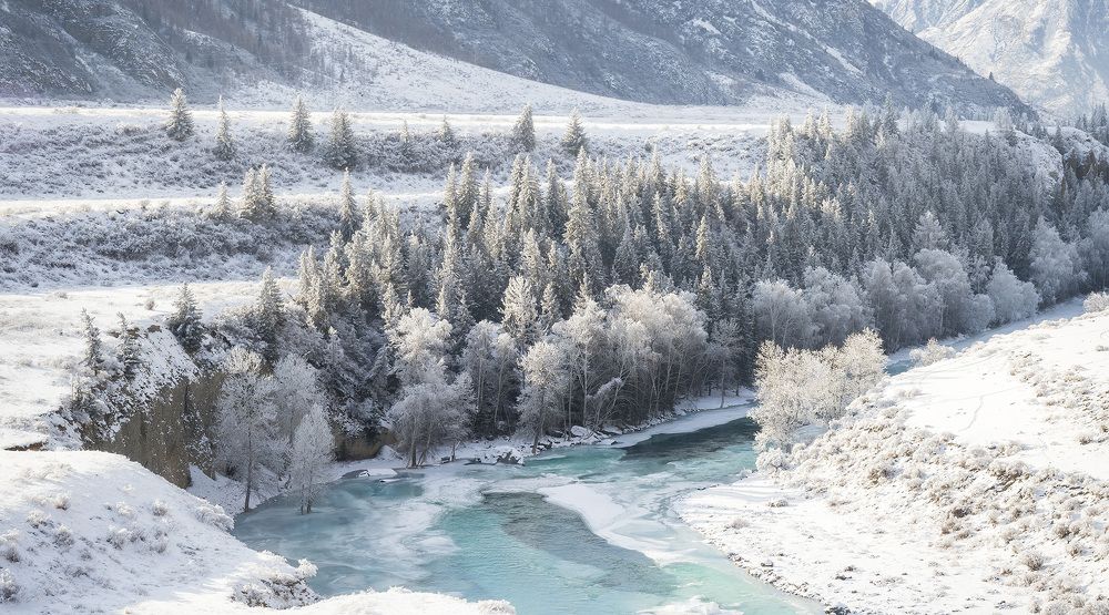 Photograph by Лещёнок Александр