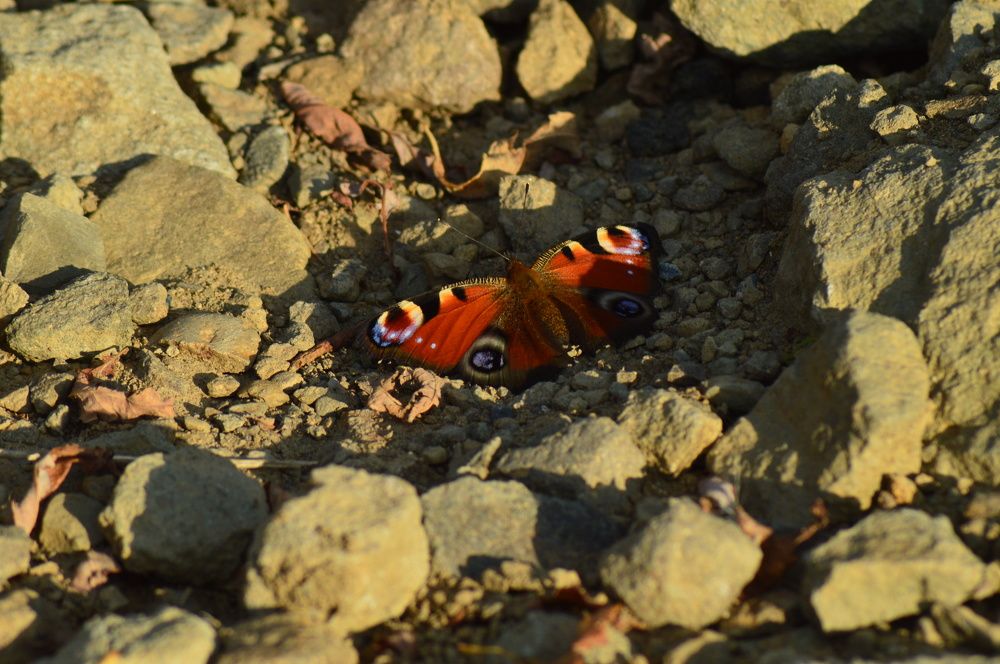 Photograph by Маргарита Бондаренко