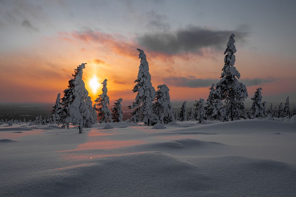 Photograph by Зарышнюк Роман