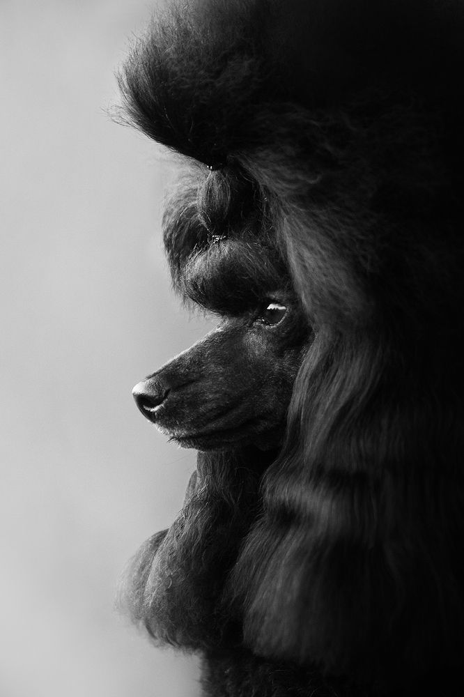 Photograph by Ольга Легенькая