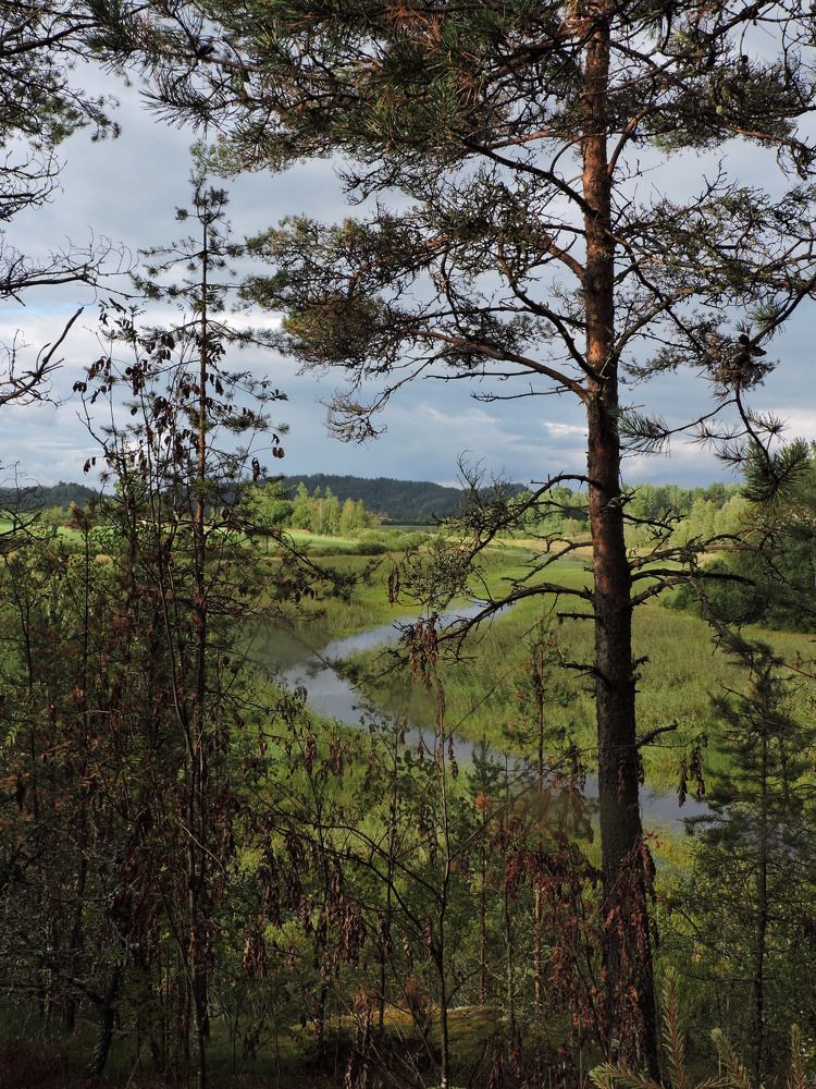 Photo #8911291