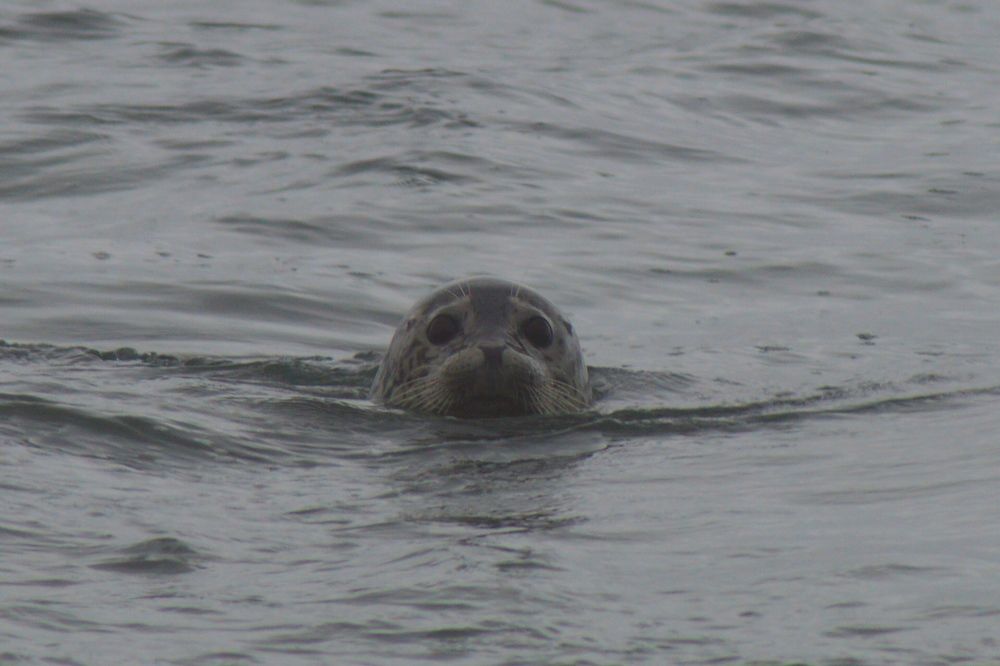 Photograph by Маргарита Бондаренко