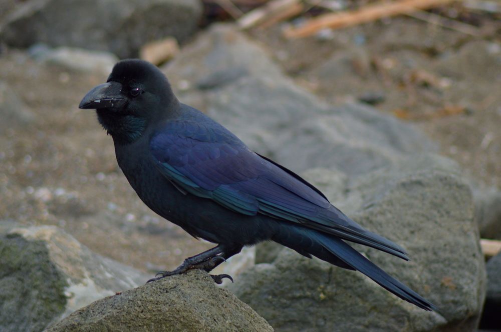 Photograph by Маргарита Бондаренко