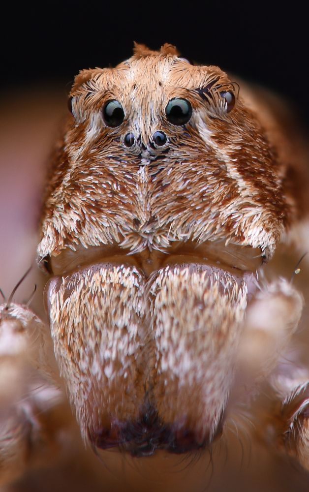 Photograph by Sabari Ganesh Sivakumar