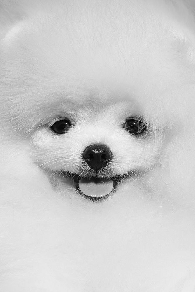 Photograph by Ольга Легенькая