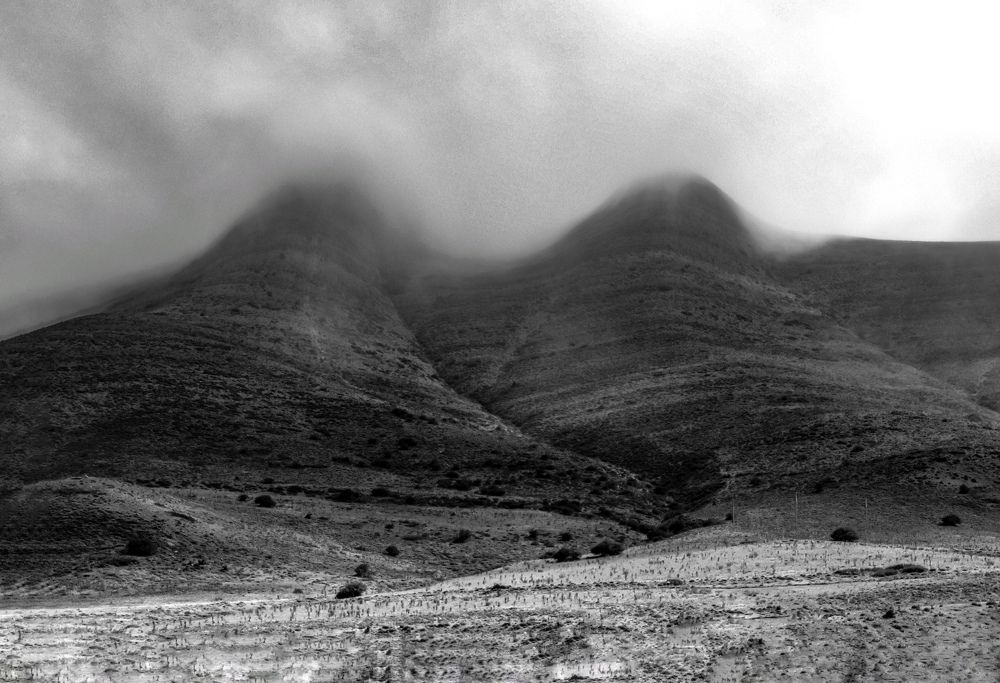Black and White landscape