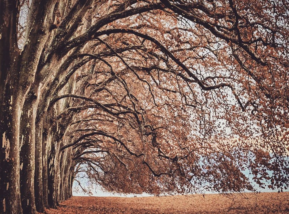 Photograph by Kristina Frizyuk