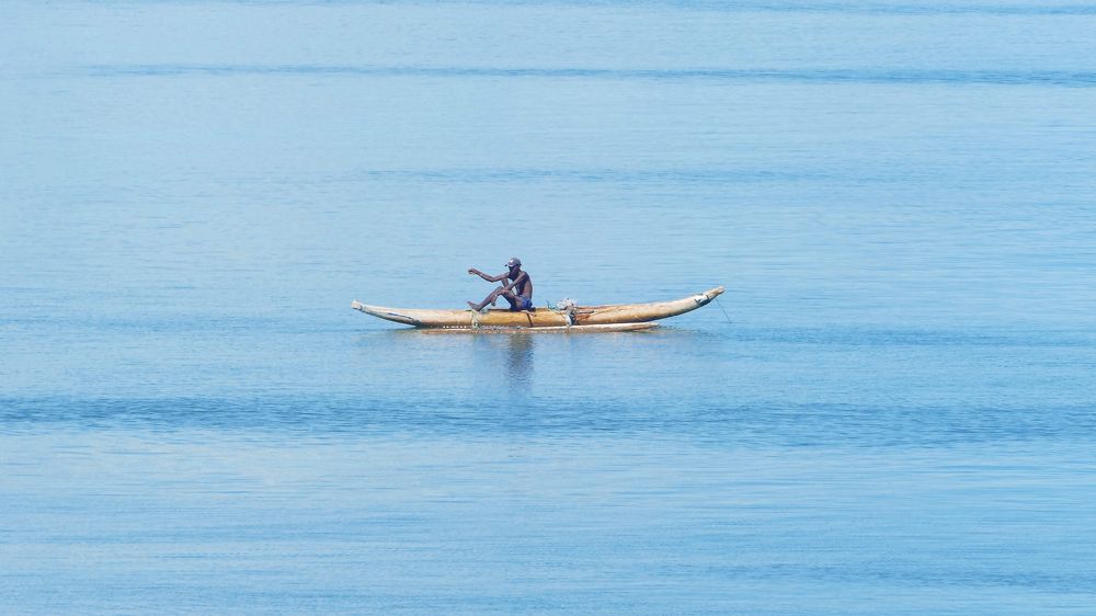 The fisherman
