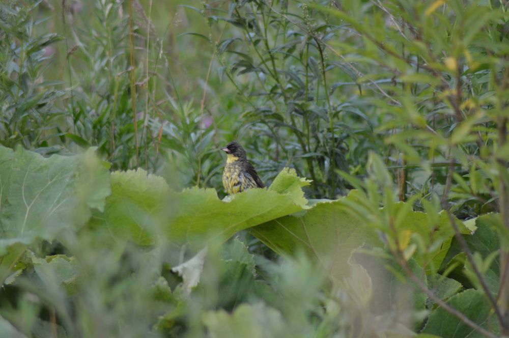 Photograph by Маргарита Бондаренко