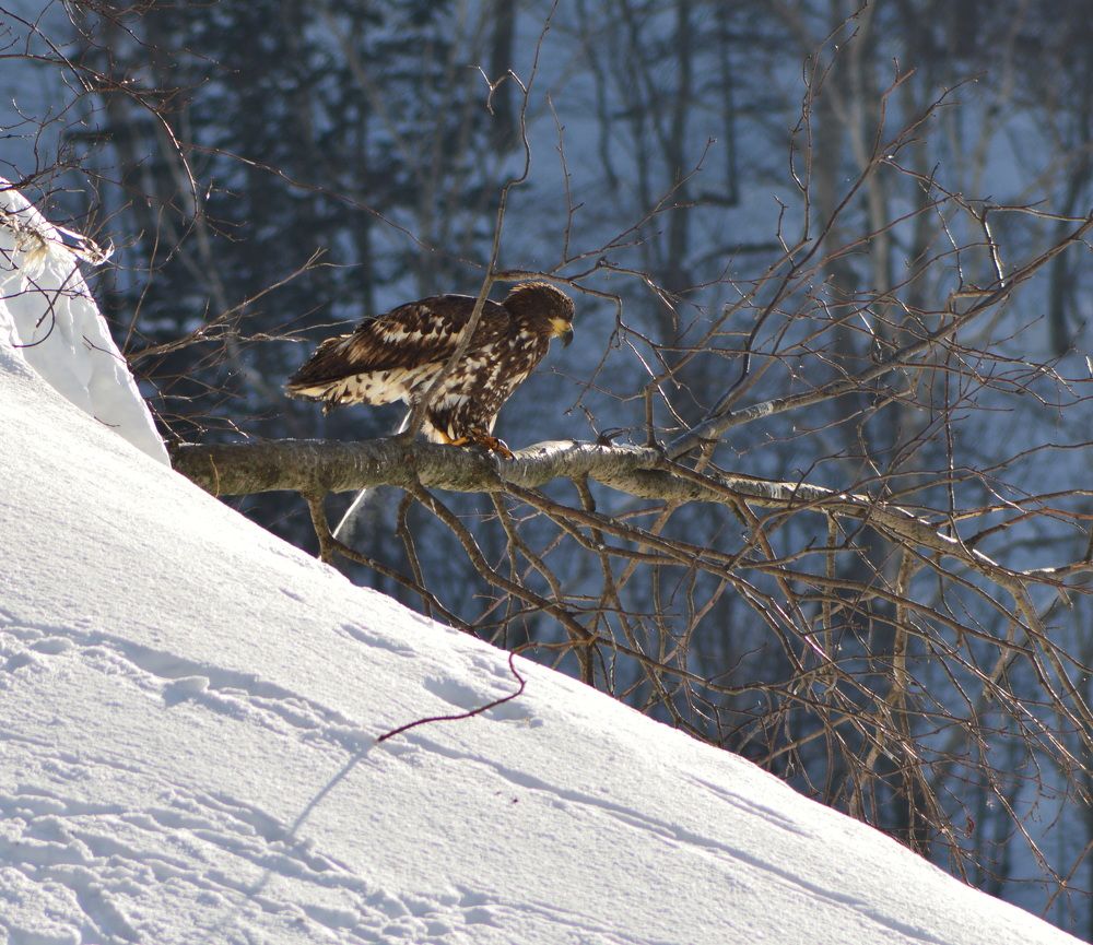 Photograph by Маргарита Бондаренко