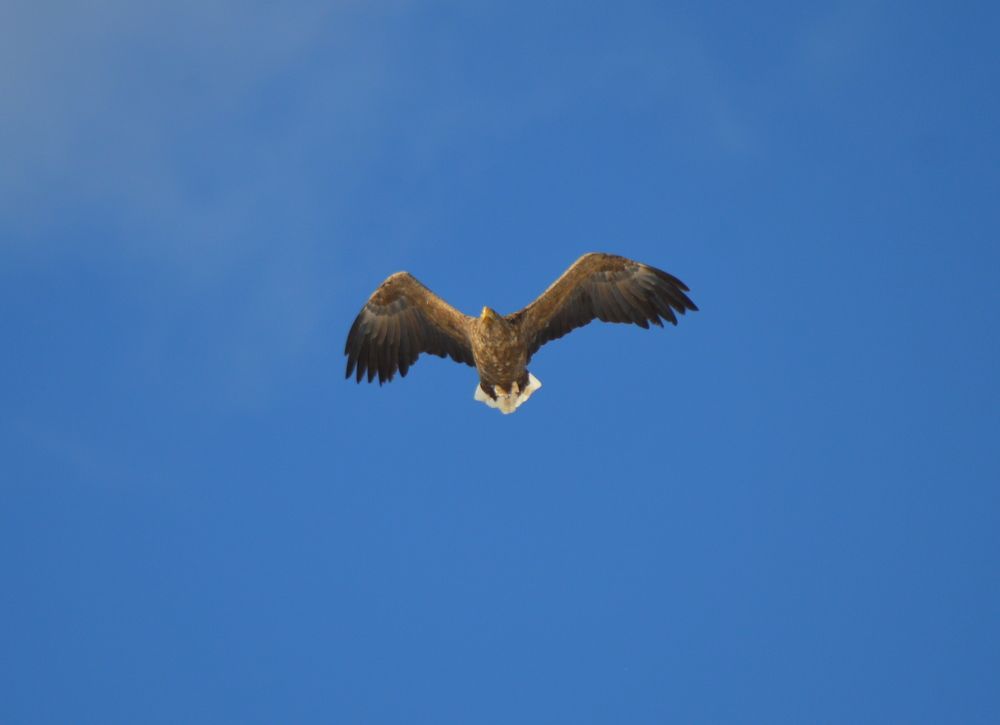 Photograph by Маргарита Бондаренко