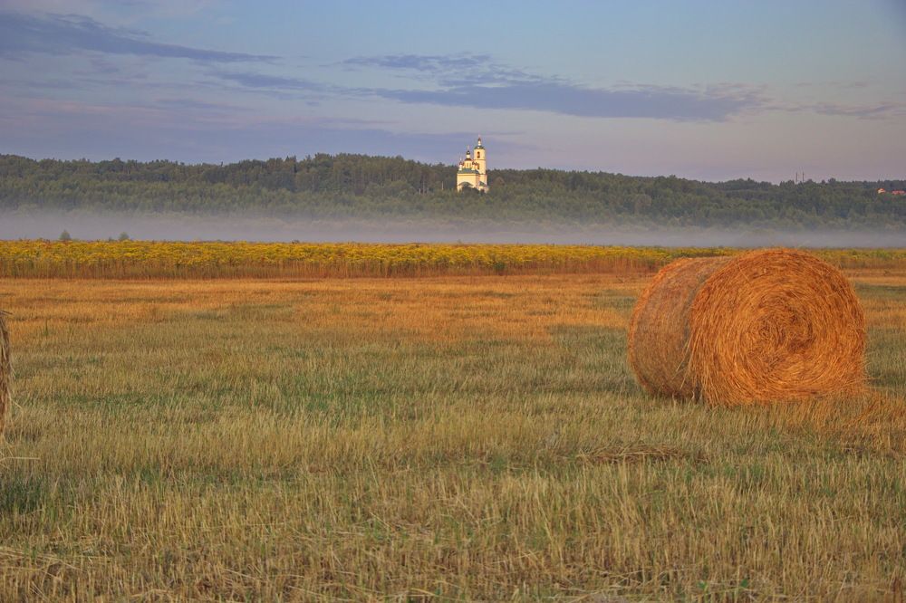 Утренний туман.