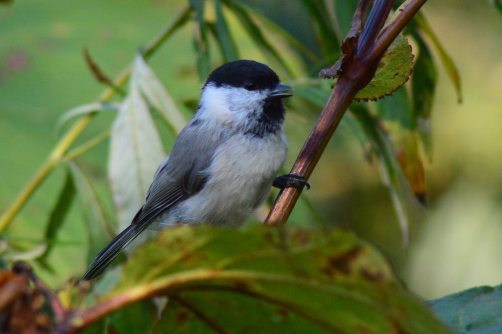 Photograph by Маргарита Бондаренко