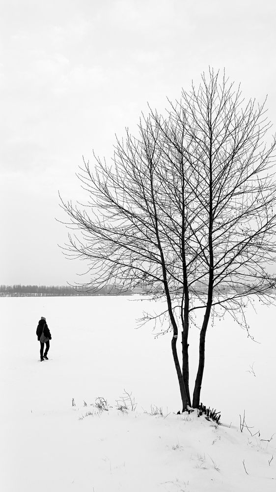 Photograph by Олеся Межова