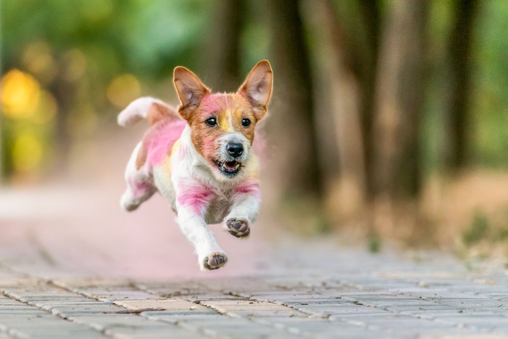 Photograph by Виола Поликарпова