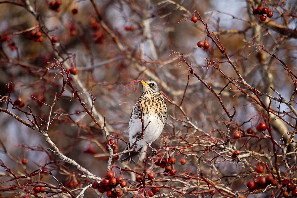 Photograph by Оксана