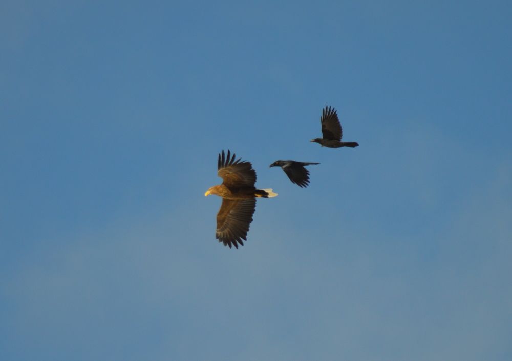 Photograph by Маргарита Бондаренко