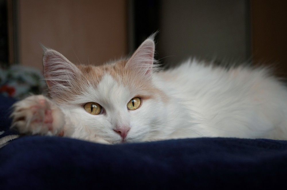 Photograph by Anastasia