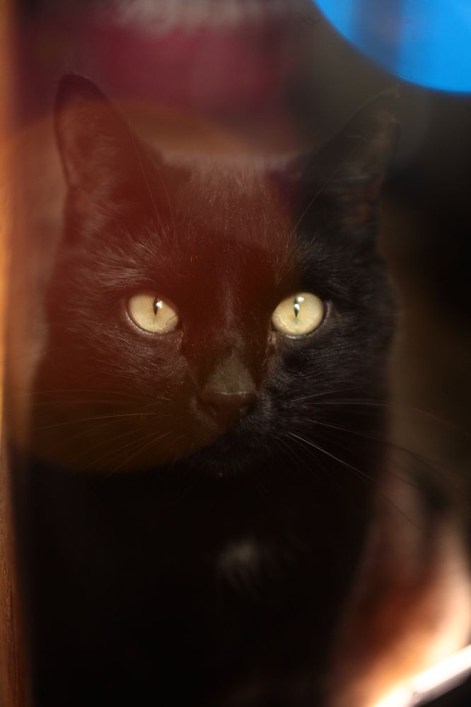 Photograph by Milla Luca