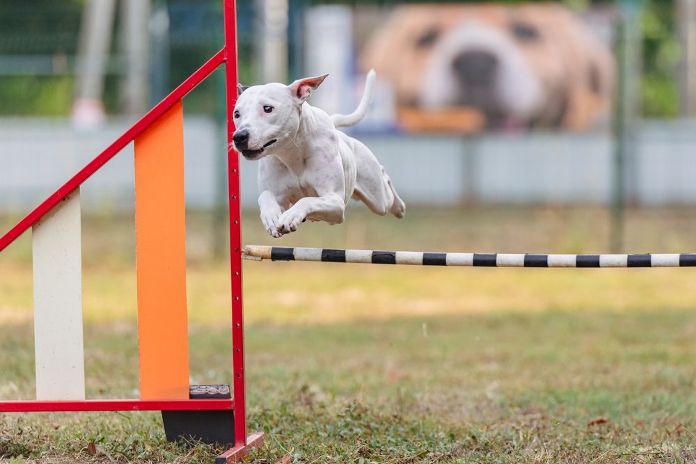 Photograph by Виола Поликарпова