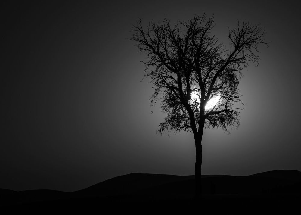 Photograph by wissam chehade